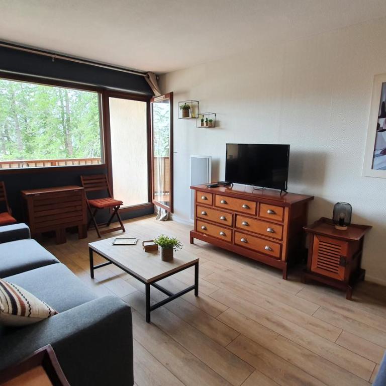 Studio Hyper centre Valberg - Studio-Apartment - 9