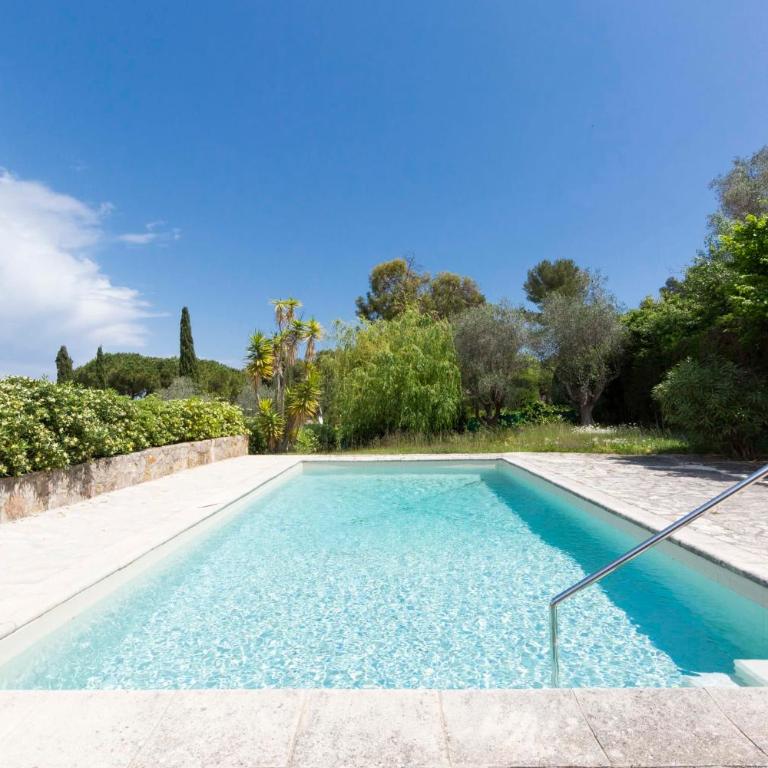 Large Provencal villa with swimming pool in lush greenery LIVE IN CANNES - Villa - 3