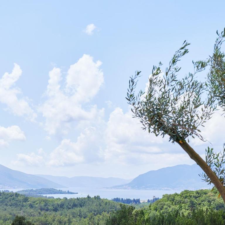 Kotor Rooftop Apartments - Apartman - 7