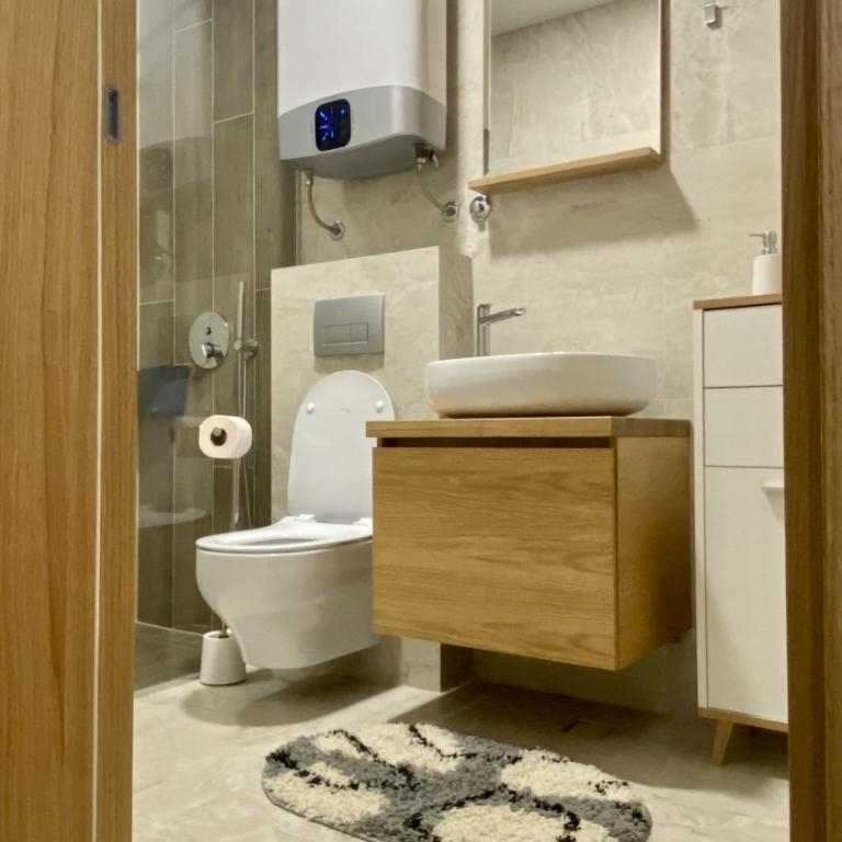Aleksić Apartment Zlatibor - One-Bedroom Apartment - 25