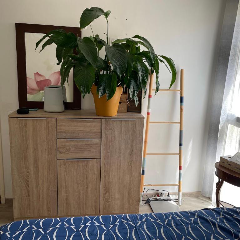 Parenthèse à Sète - Appartement 1 Chambre - 10