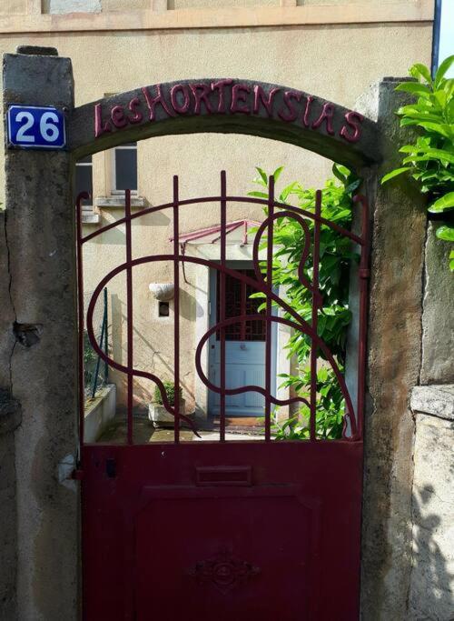 Les Bambous - Rez de jardin Millau Centre - Parking privatif, wifi - Appartement 1 Chambre - 18