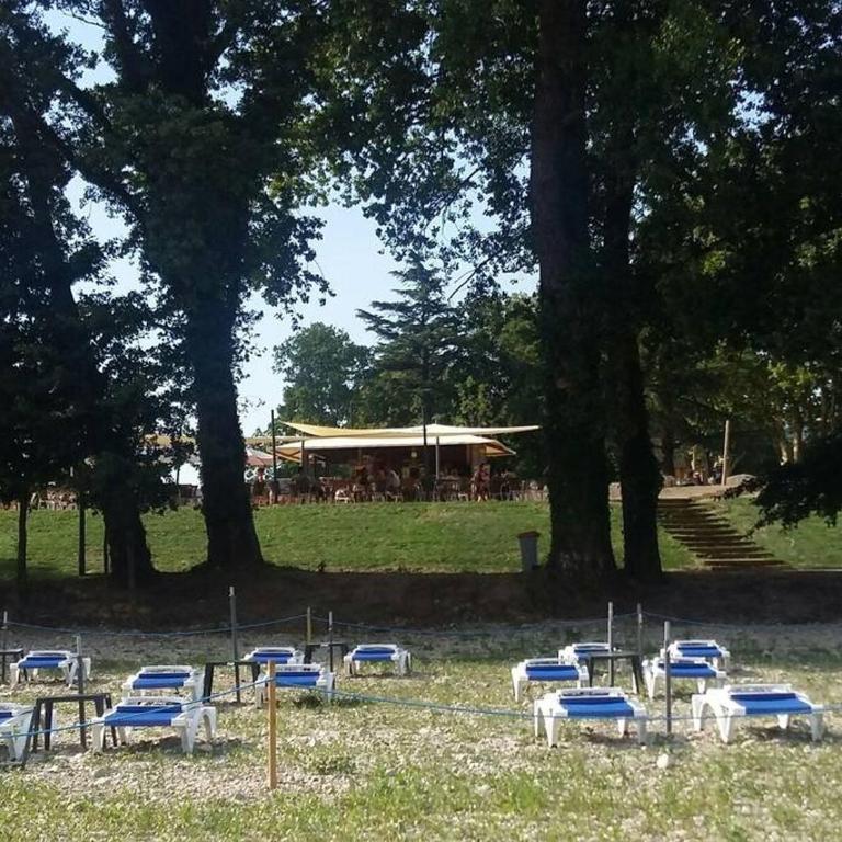 Les Bambous - Rez de jardin Millau Centre - Parking privatif, wifi - Appartement 1 Chambre - 23