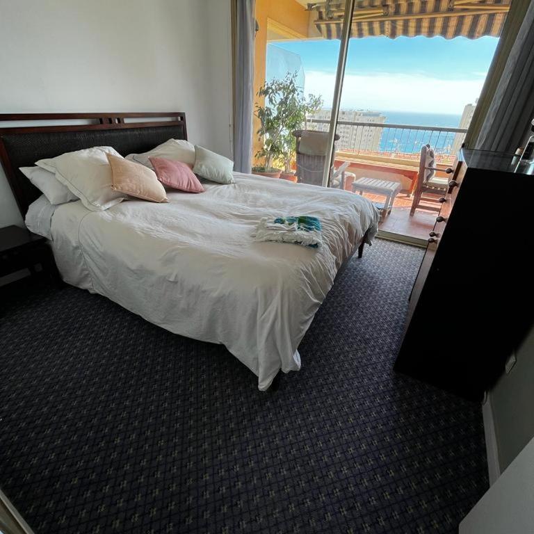 Une terrasse sur Monaco logement 2 chambre - Appartement 2 Chambres - 14