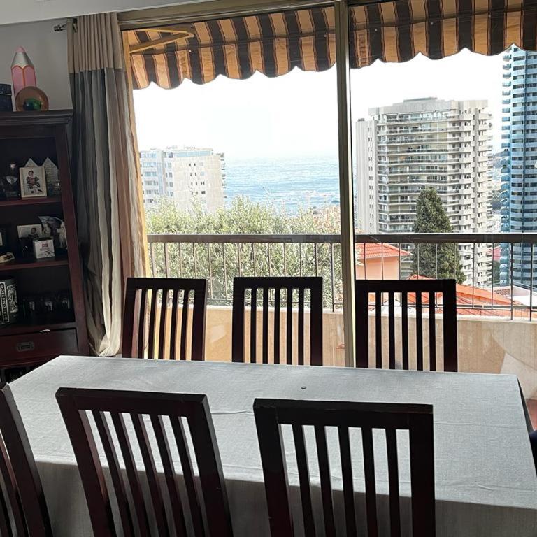 Une terrasse sur Monaco logement 2 chambre - Appartement 2 Chambres - 12