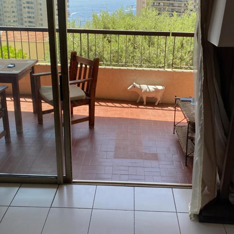 Une terrasse sur Monaco logement 2 chambre - Appartement 2 Chambres - 33