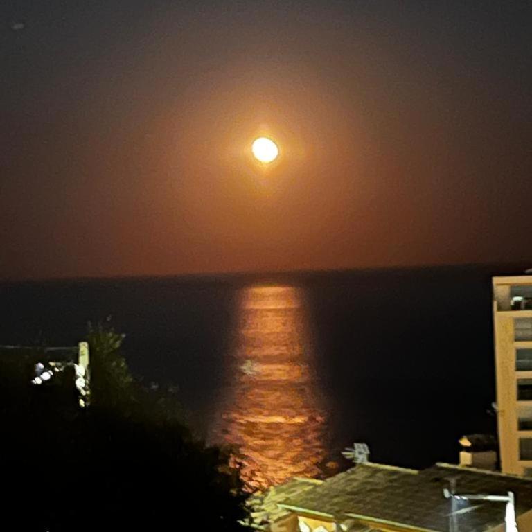 Une terrasse sur Monaco logement 2 chambre - Appartement 2 Chambres - 19