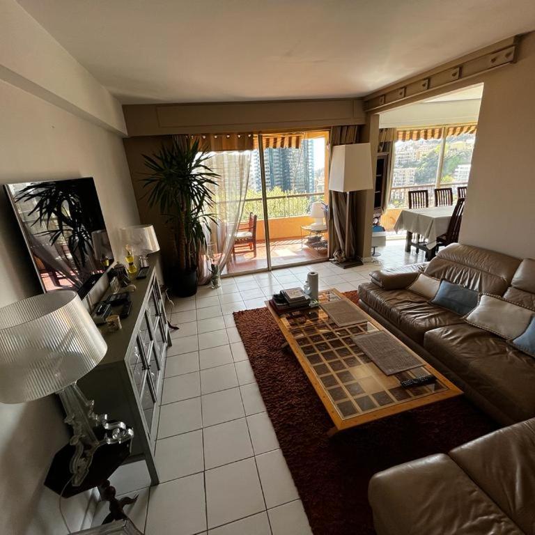 Une terrasse sur Monaco logement 2 chambre - Appartement 2 Chambres - 11