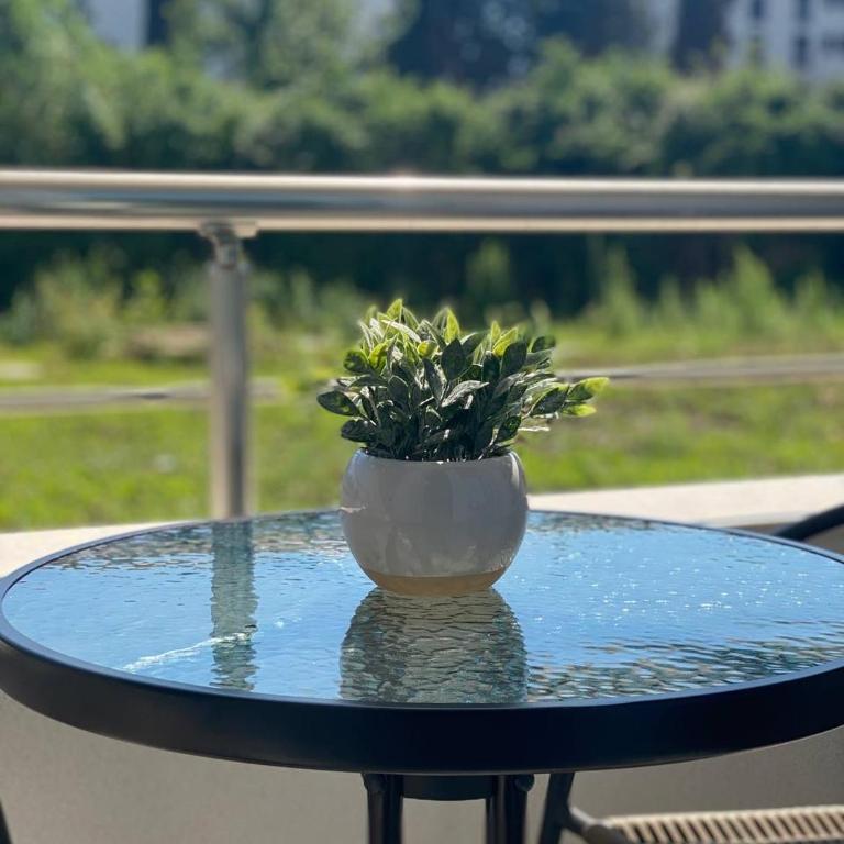 Apartament Dolcinium - Apartman sa 1 Spavaćom Sobom - 25