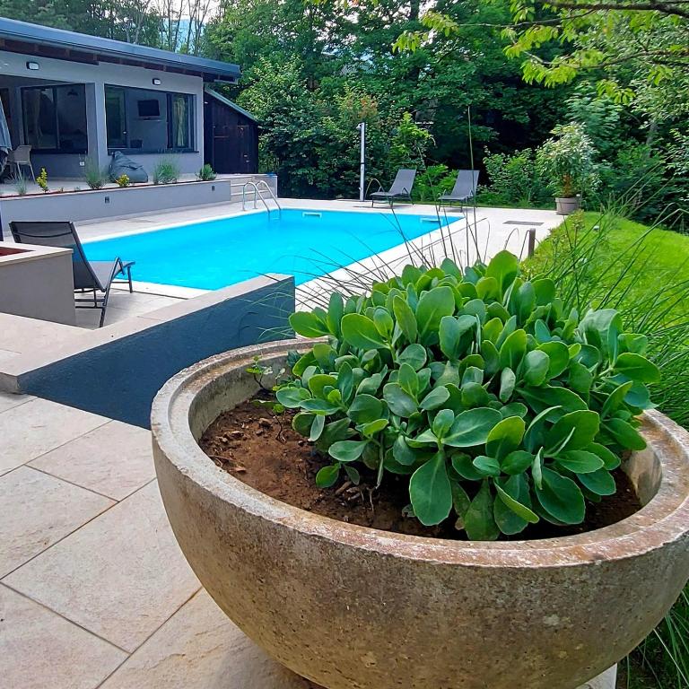 Villa Pampas - Vila sa 2 Spavaće Sobe - 14