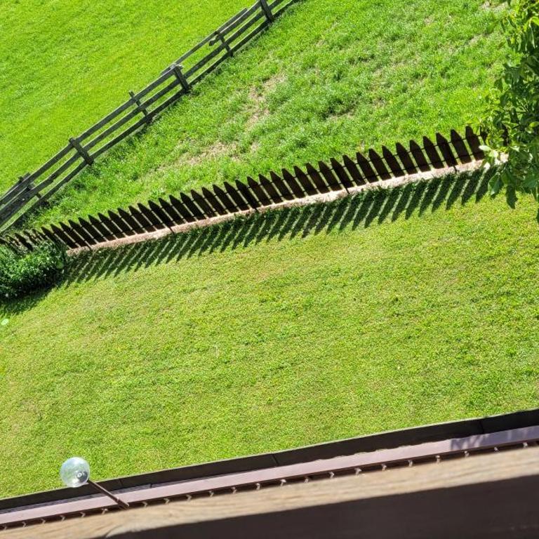 Waldhof - Appartamento con 2 Camere da Letto - 28