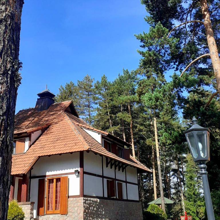 KRALJEVI KONACI - Vila Zelena Dolina - Zlatibor - Vila sa Pogledom na Vrt - 53