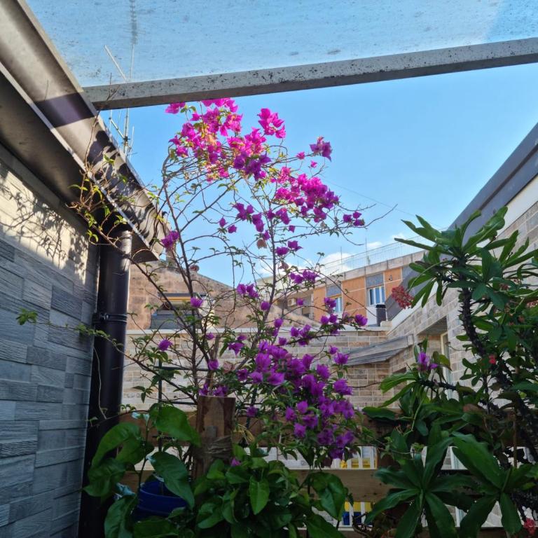 Residenza Lucana - Appartamentino su 2 Livelli - 13