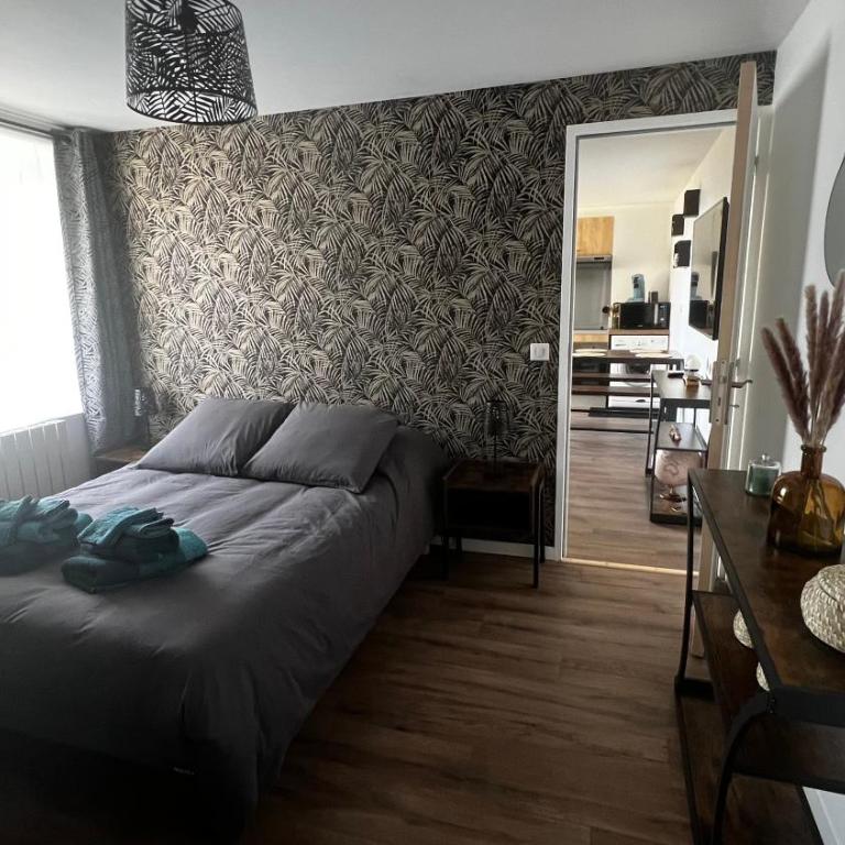 Logement avec terrasse et parking - Appartement 1 Chambre - 20