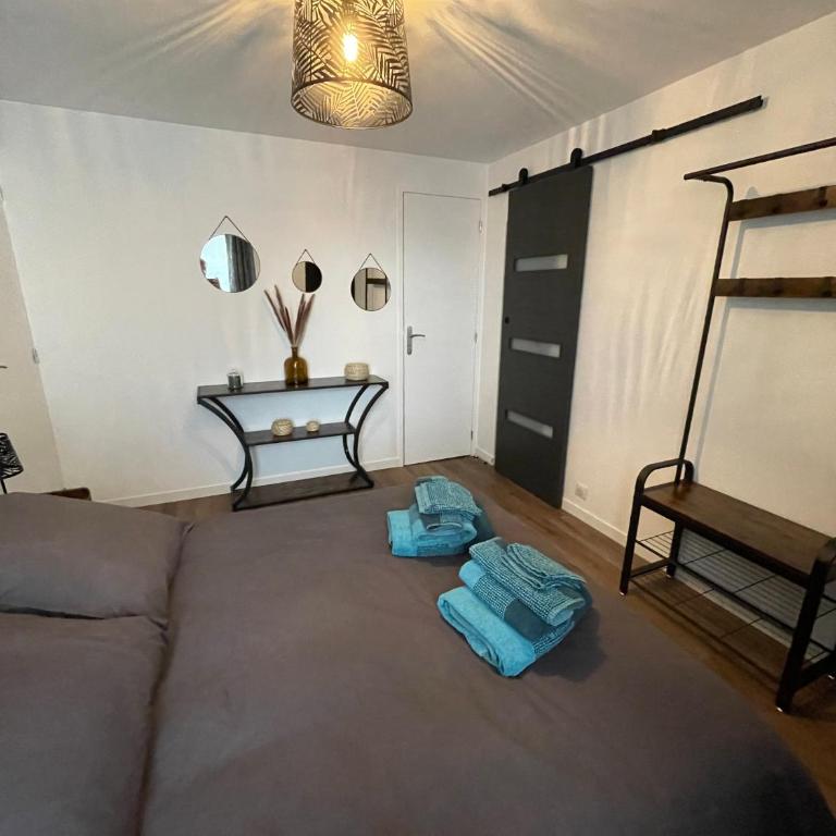 Logement avec terrasse et parking - Appartement 1 Chambre - 17