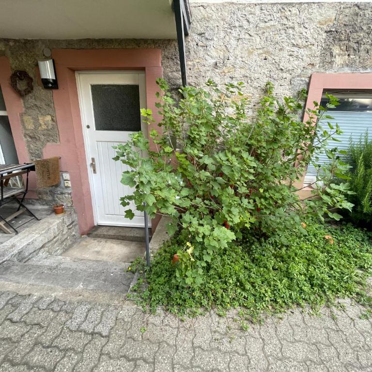 Super Appartment in Laufweite zum Zentrum&Mainufer - Apartment mit 1 Schlafzimmer - 11