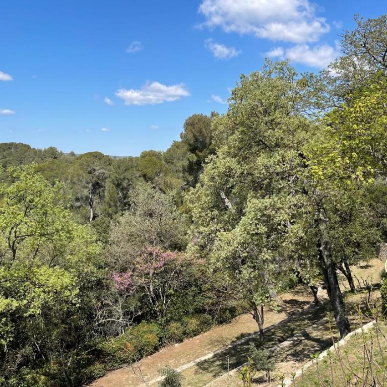 Exclusif Appart piscine chauffée de luxe 10 min centre AixenPc Belvoir SISSI - Appartamento - Piano Terra - 41