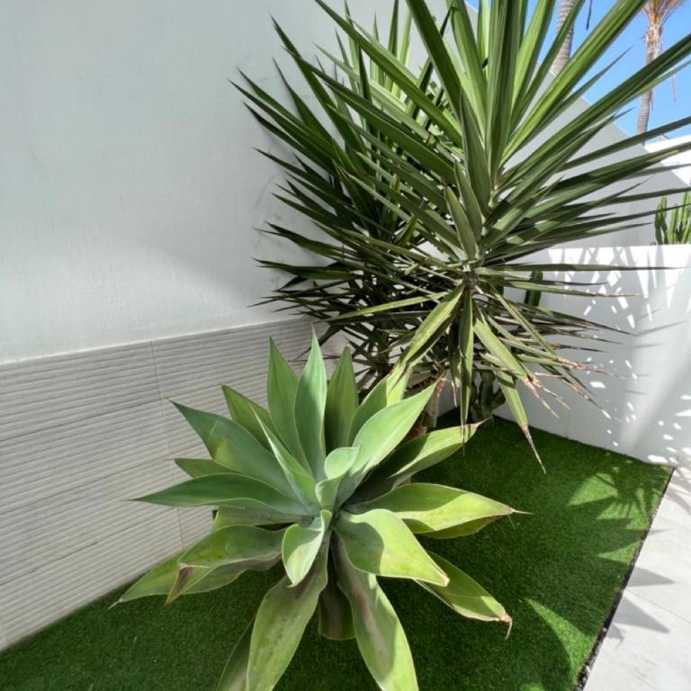 Corralejo Bristol terrace Apartment con giardino privato esterno - Apartamento de 1 dormitorio - 6