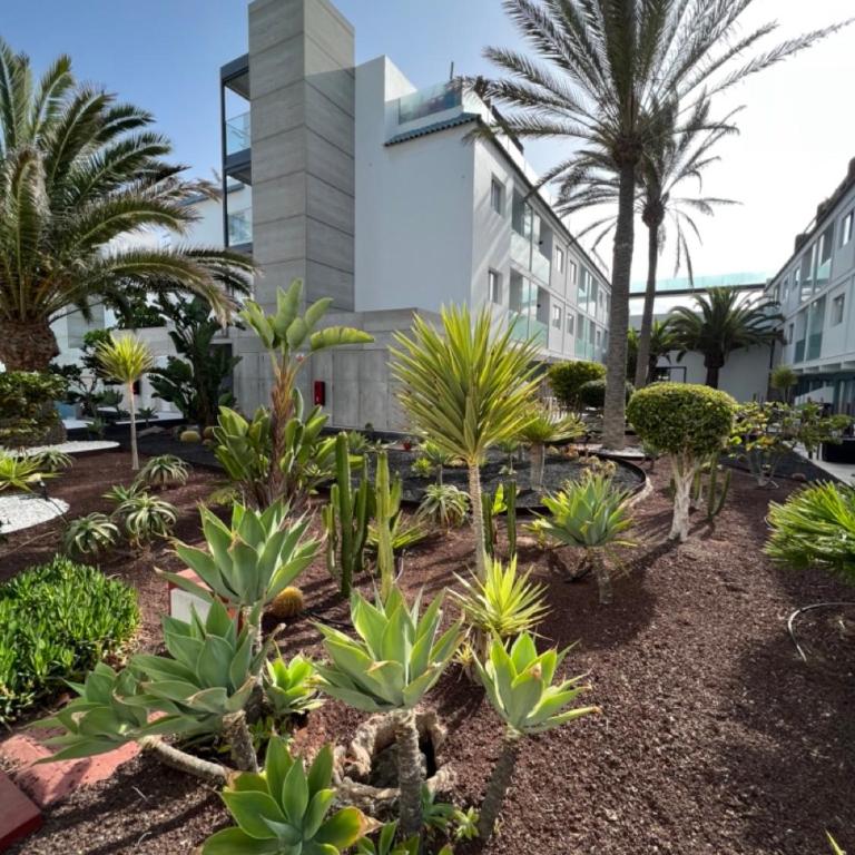 Corralejo Bristol terrace Apartment con giardino privato esterno - Apartamento de 1 dormitorio - 42