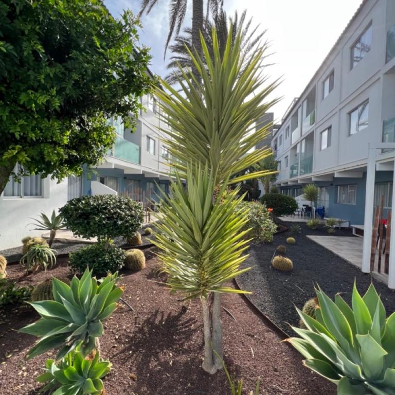 Corralejo Bristol terrace Apartment con giardino privato esterno - Apartamento de 1 dormitorio - 43