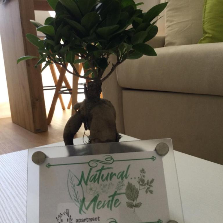 Natural Mente - Appartamento - 74