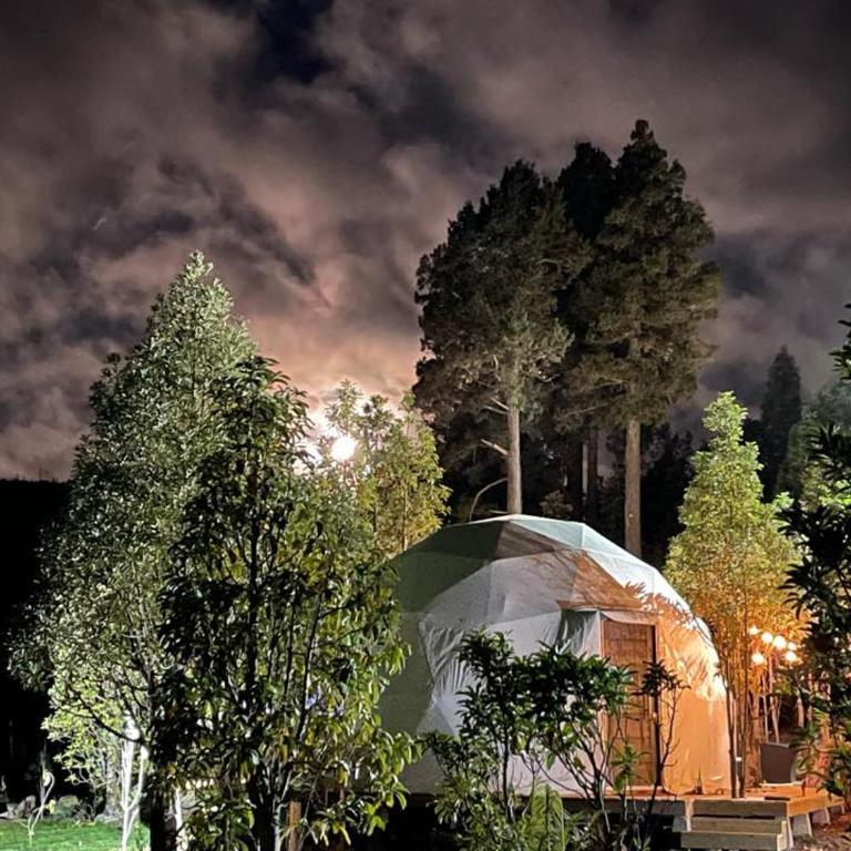 Lodge Los Alerces - Family Suite - 4