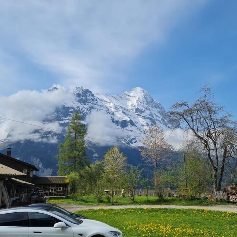 Chalet Engi Apt 2 for up to 6 People - Apartamento de 1 dormitorio - 18