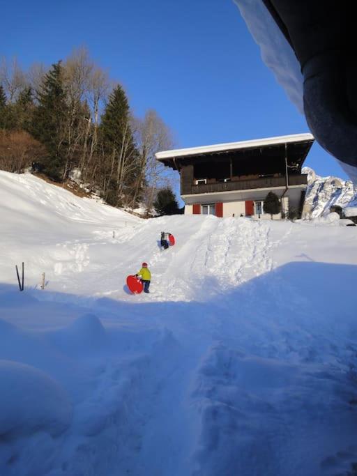 Chalet Engi Apt 2 for up to 6 People - Apartamento de 1 dormitorio - 10