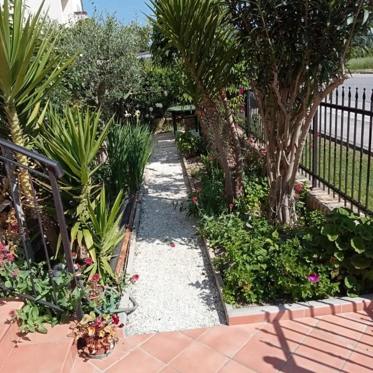 N247 - Numana, meraviglioso quadrilocale in posizione strategica - Three-Bedroom Apartment - 31