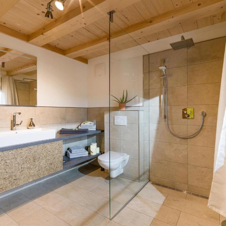 Trattenbachhof - Apartamento de 1 dormitorio con ducha - 5