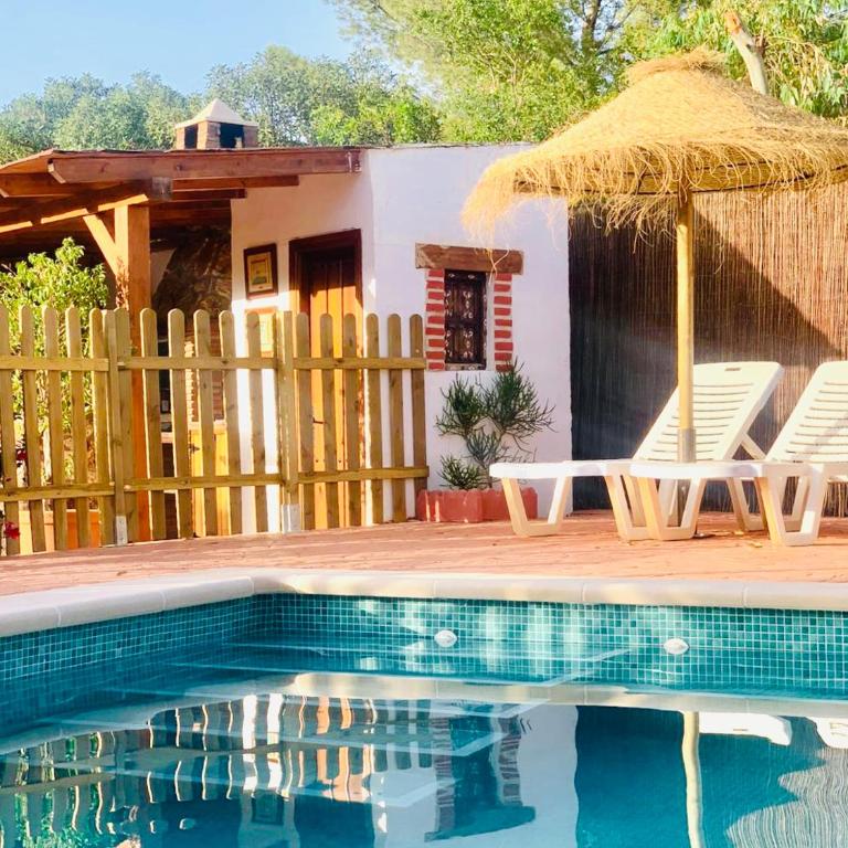 Cortijo el Alcornocal - Chalet - 4