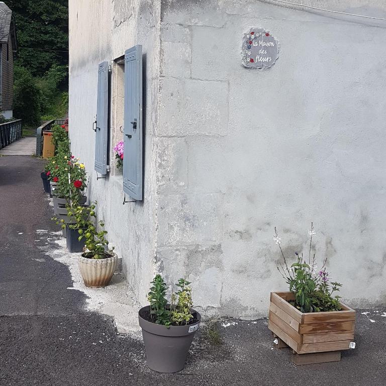 la maison des fleurs studio - Appartement 1 Chambre - 4