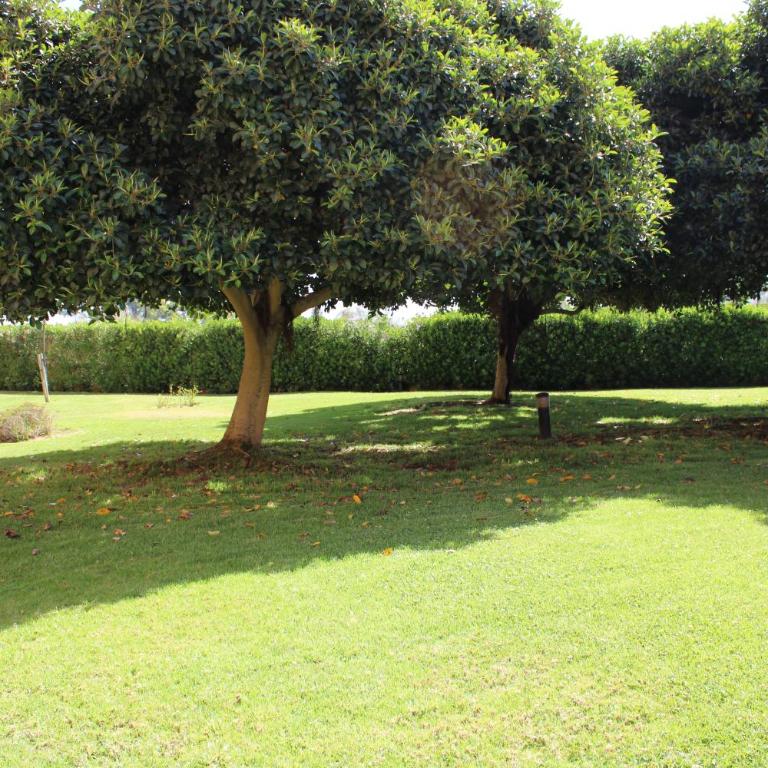 Apartamento, 1ª línea de playa, Isla Canela, by Guadiana Holidays - One-Bedroom Apartment - 9