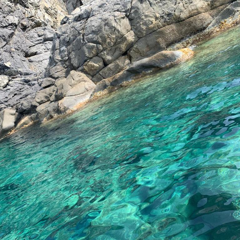 Corner of Paradise Moneglia - Casa Vacanze - 92