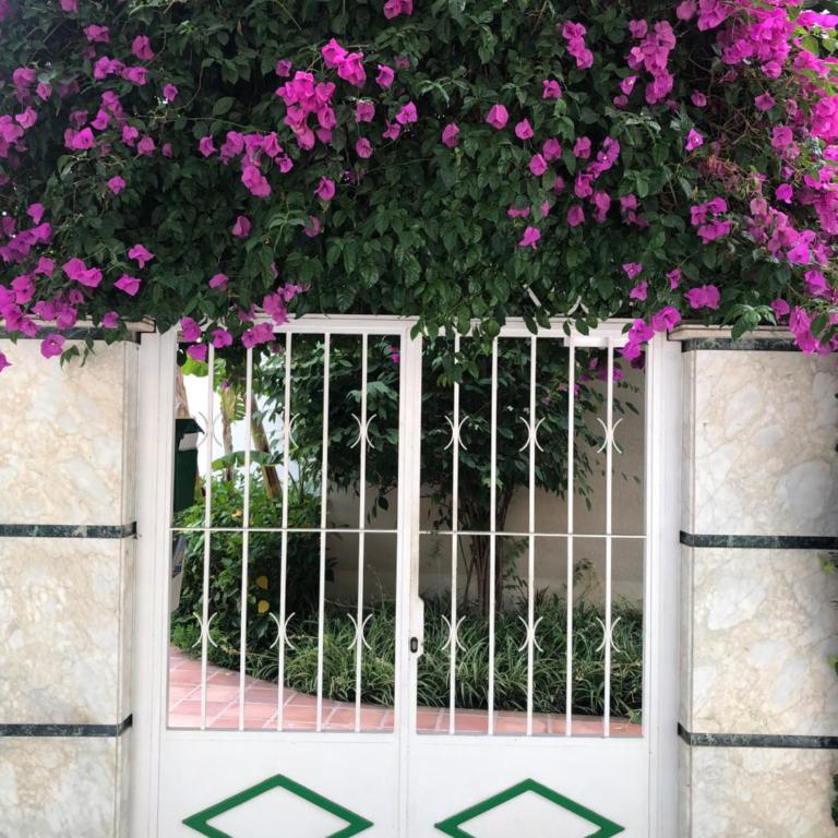 Front Line Apartment Marbella - 2 Bedroom & 2 Bathrooms - Apartamento de 2 dormitorios - 18
