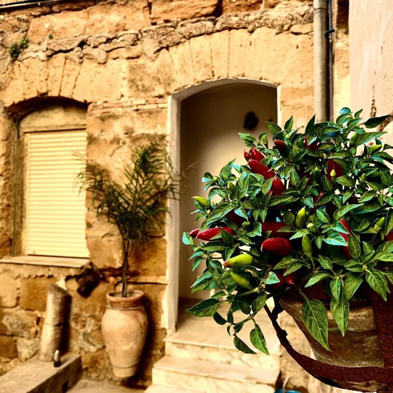 Il Vecchio Cortile - Appartamento con 2 Camere da Letto, Balcone e Terrazza - 2