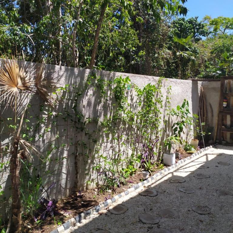 Relaxing comfortable jungle view MEXPLOR Villa Rivera Maya Puerto Morelos POOL-AC-GYM- GATED COMMUNITY - Habitación con cama grande y vistas al jardín - 2