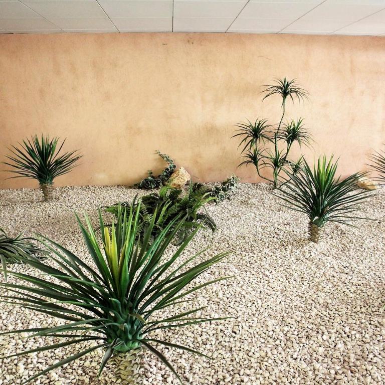 T2 proche de la gare, à 10 minutes à pieds de la Croisette, piscine & parking dans résidence de haut standing - Appartement 1 Chambre - 80