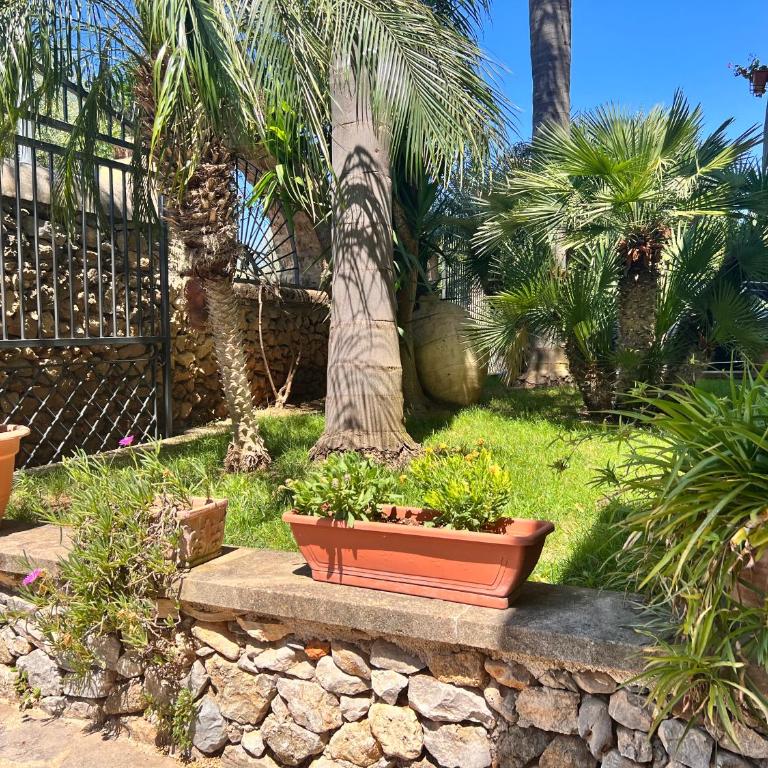 IL Rustico di Giò - Apartment mit 1 Schlafzimmer - 27
