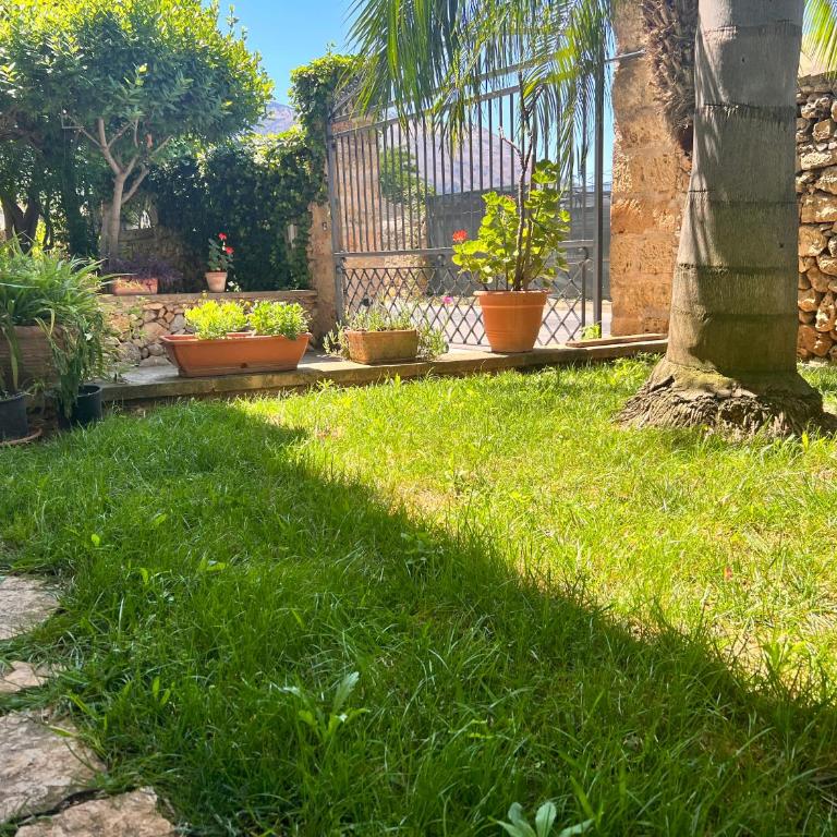 IL Rustico di Giò - Apartment mit 1 Schlafzimmer - 29