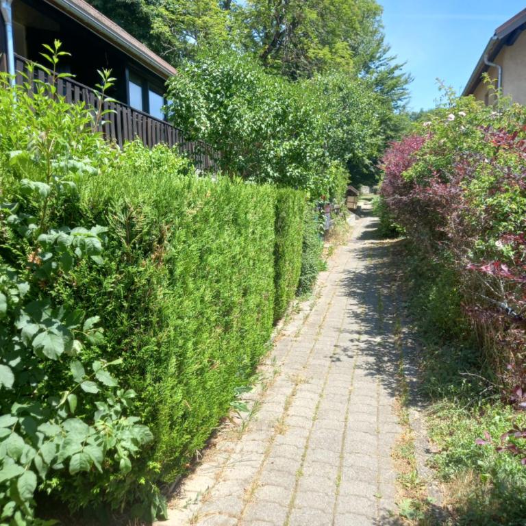 Le Loutin - Appartement 1 Chambre - 35