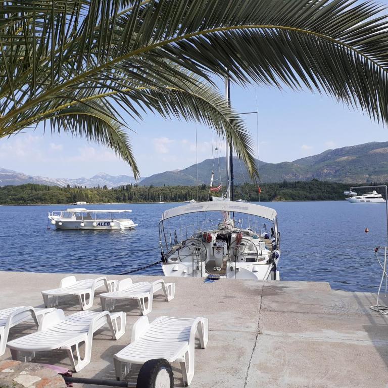 un site calme et unique au Montenegro Loue des logements les pieds dans l eau avec plage privée en face de l ile Saint Marco - Apartment with Sea View - 7