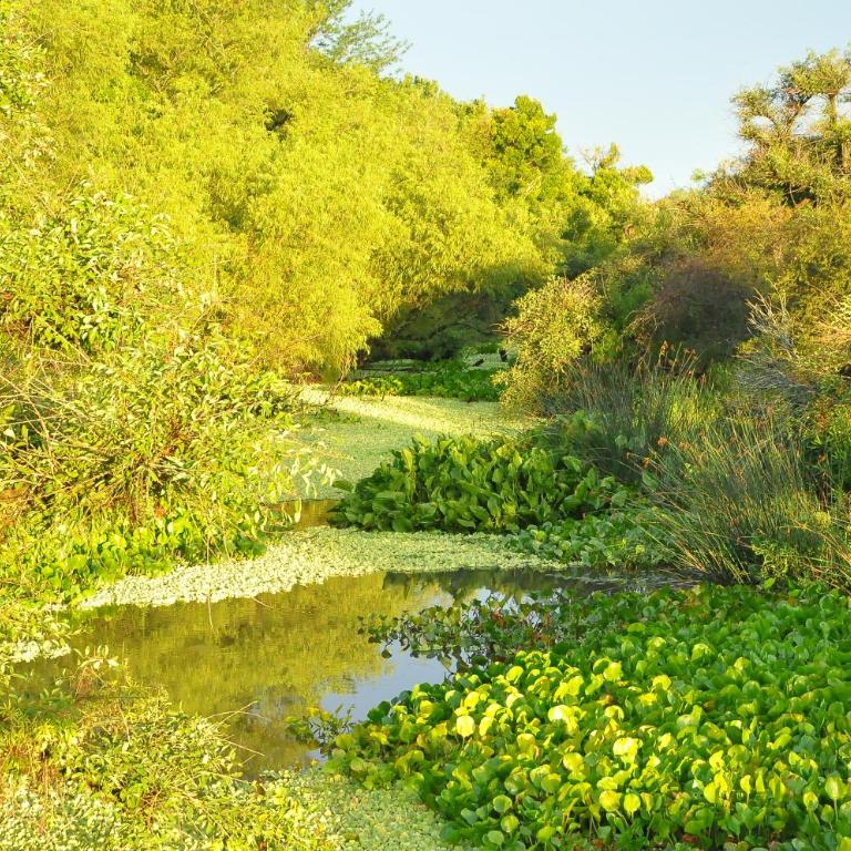 Estancia La Titina, Posada y Reserva Natural - Habitación Triple con baño privado - 66