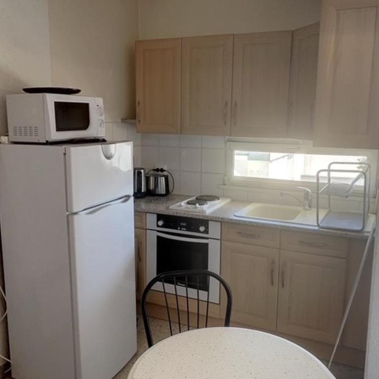 Appartement 18m² proche des Thermes, animaux admis, balcon - FR-1-503-131 - Studio - 3