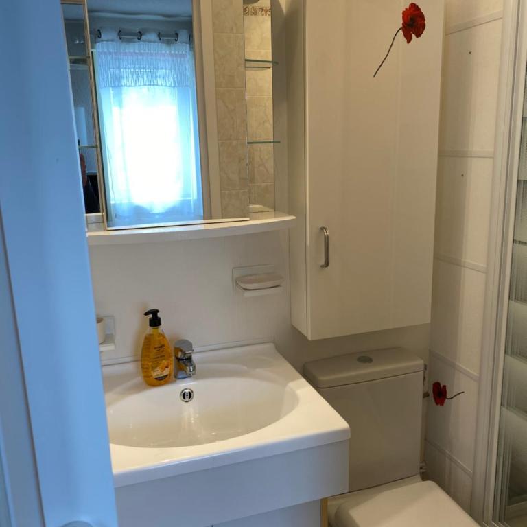 Studio Font-Romeu avec place de parking - Studio - 10