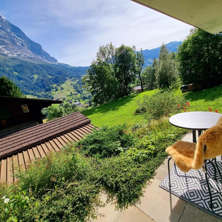 MOM - Alpine Boutique Apartments, Alpstein Eiger View Terrace, City Center - One-Bedroom Apartment - 1