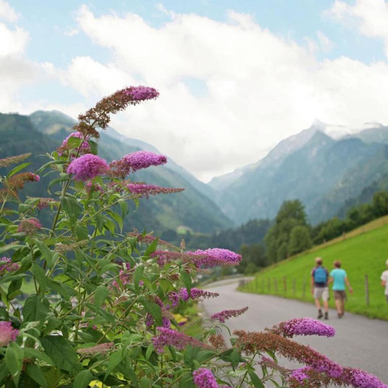 Apartment in Kaprun with Ski-in Ski-out Access - Ferienhaus mit 3 Schlafzimmern - 24