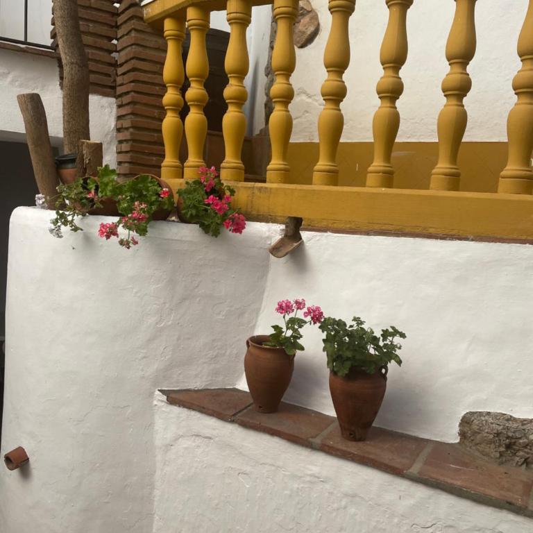 Mesón La Hospedería - Apartamento Deluxe de 1 dormitorio - 15