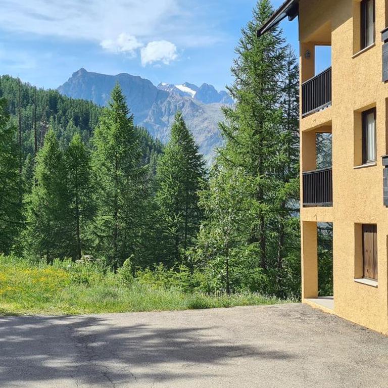 Appartement Puy-Saint-Vincent - Apartment mit 1 Schlafzimmer - 7