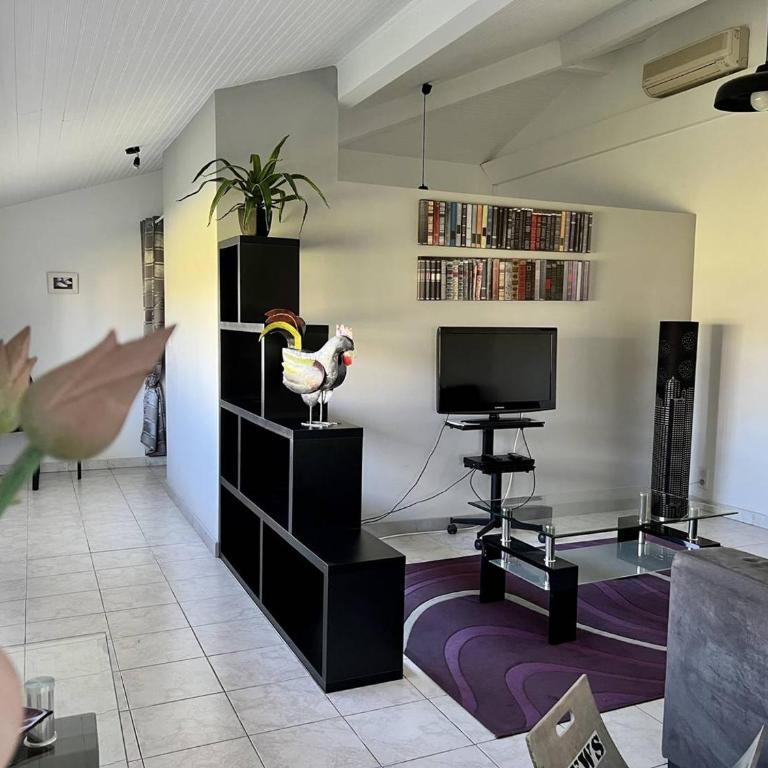 T2 Bis à Cambo-les-Bains avec jardin, parking et internet - Appartement 1 Chambre - 7